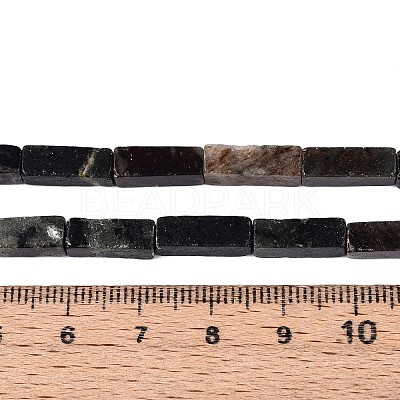 Natural Biotite Beads Strands G-T141-103-1
