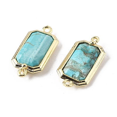 Dyed Natural Howlite Faceted Rectangle Connector Charms G-H323-04G-02-1