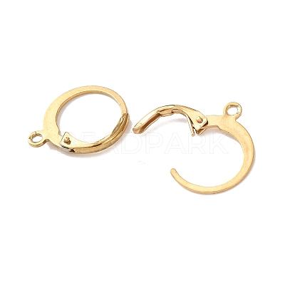 Ion Plating(IP) 304 Stainless Steel Leverback Earring Findings STAS-E103-06G-1