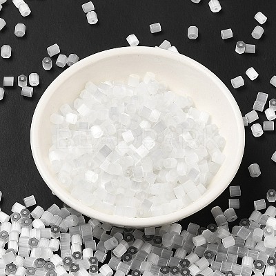 Glass Seed Beads X1-SEED-H002-D-A801-1