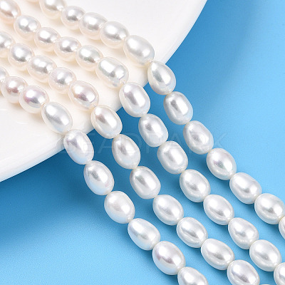 Natural Cultured Freshwater Pearl Beads Strands PEAR-N012-AA-01-1