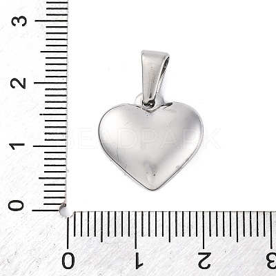 304 Stainless Steel Pendants STAS-P278-01S-P-1-1