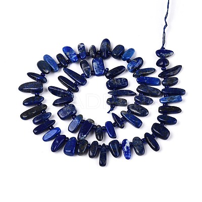 Natural Lapis Lazuli Beads Strands G-Z091-A23-1