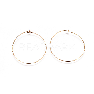 304 Stainless Steel Hoop Earrings Findings STAS-F227-54E-G-1