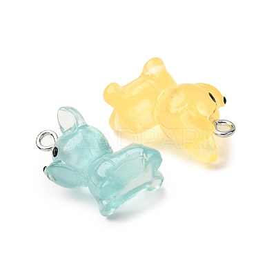 Luminous Transparent Resin Pendants RESI-Z043-02P-1