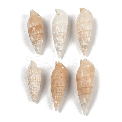 Natural Spiral Shell Pendants SHEL-K009-17B-1