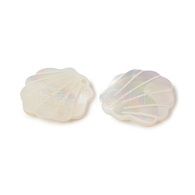 Natural Sea Shell Pendants SSHEL-T012-11-1