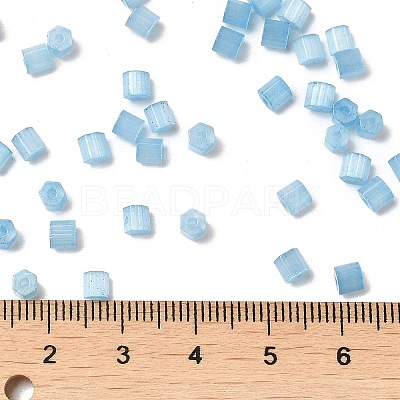 Glass Seed Beads SEED-H002-D-A811-1