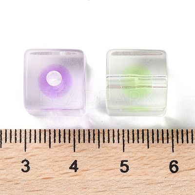 Transparent Acrylic Bead OACR-H112-07B-1