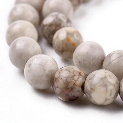 Natural Maifanite/Maifan Stone Beads Strands X-G-F353-6mm-1