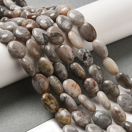 Natural Crazy Lace Agate Beads Strands G-G102-B01-01-1