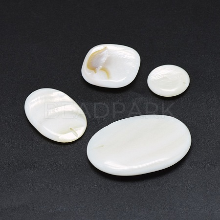 Natural White Shell Beads X-SSHEL-I019-01-1