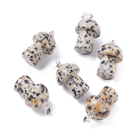 Natural Dalmatian Jasper Pendants G-M380-B09-P-1