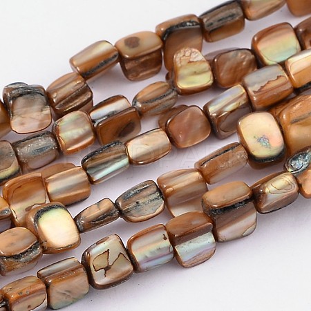Shell Beads Strands PBB052Y-1