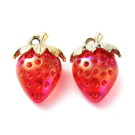 Transparent Acrylic Pendants MACR-K335-04C-01-1