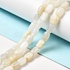 Natural White Moonstone Beads Strands G-G980-17-1