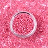 FGB 11/0 Grade A Glass Seed Beads X-SEED-S030-1144-3