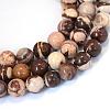 Natural Zebra Jasper Round Bead Strands G-E334-6mm-12-1