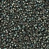 MIYUKI Delica Beads X-SEED-J020-DB0324-3