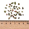 Natural Unakite Chip Beads G-O103-14-2