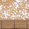 MIYUKI Delica Beads X-SEED-J020-DB2171-4