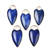 Dyed Natural Lapis Lazuli Pendants G-G193-02G-01-1