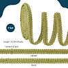 Polyester Lace Trim Ribbon OCOR-WH0082-398B-2