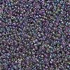 MIYUKI Round Rocailles Beads X-SEED-G007-RR2440-2