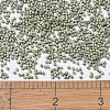 MIYUKI Delica Beads SEED-MY11-DB1170-4