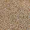 MIYUKI Round Rocailles Beads X-SEED-G007-RR3731-2