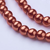 Glass Pearl Beads Strands HY-6D-B79-2