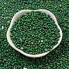 Glass Seed Beads SEED-K009-09A-01-2