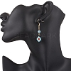 Handmade Glass Seed Beaded Window Lattice Pattern Dangle Earrings EJEW-MZ00560-03-3