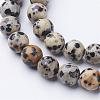 Natural Dalmatian Jasper Beads Strands GSR004-2