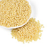 8/0 Glass Seed Beads X1-SEED-A011-3mm-142-4