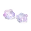 Transparent Glass Beads X-GLAA-B029-01K-2