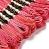 10 Skeins 6-Ply Polyester Embroidery Floss OCOR-K006-A40-2