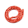 Natural Freshwater Shell Beads Strands X-SHEL-N003-33-A06-2