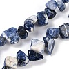 Natural Sodalite Nuggets Beads Strands G-B125-A18-01-1