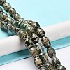 Tibetan Style dZi Beads Strands TDZI-E005-01J-2