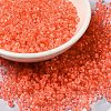 12/0 Transparent Glass Seed Beads SEED-F003-03C-11-1