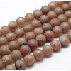 Electroplated Natural Agate Round Bead Strands G-M171-10mm-06-2