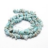 Natural Larimar Chip Beads Strands L-G-E271-77-2