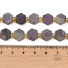 Natural Lepidolite/Purple Mica Stone Beads Strands G-F833-B03-01-4