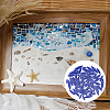 200G Horse Eye Mosaic Pieces FIND-DC0005-43-7