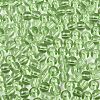 FGB Transparent Glass Seed Beads SEED-N013-01A-07-3
