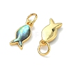Natural Paua Shell Fish Charms KK-F926-04A-2