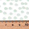 Baking Paint Glass Seed Beads GLAA-T023-43B-4