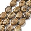 Natural Picture Jasper Beads Strands G-P528-M28-01-2