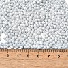 Opaque Colours Luster Glass Seed Beads SEED-B001-01A-09-4